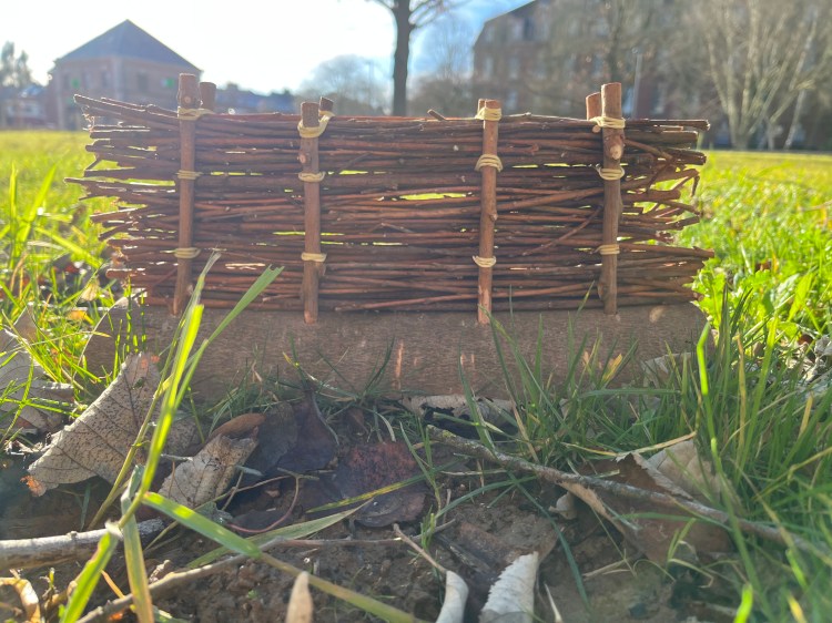 Haie sèche maquette